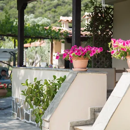 Bouganvillia - Trani Ammouda *